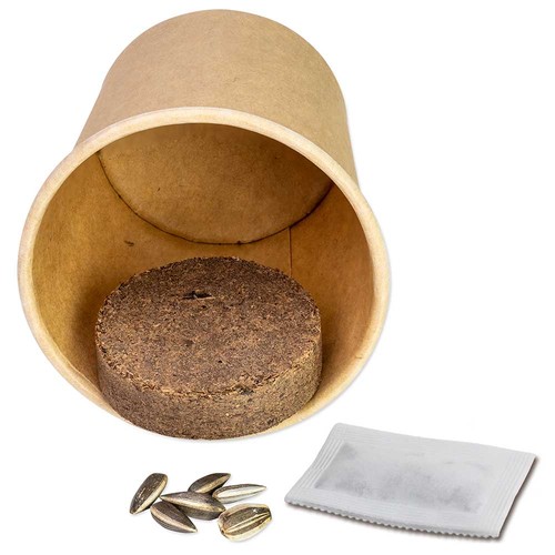 Color & Grow House - Herb-mixture Color & Grow House - Herb-mixture