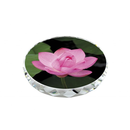 PAPER WEIGHT SHAPED FOR SUBLIMATION