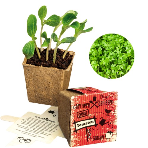 Vegetable Garden Seed Set (large) - Cress