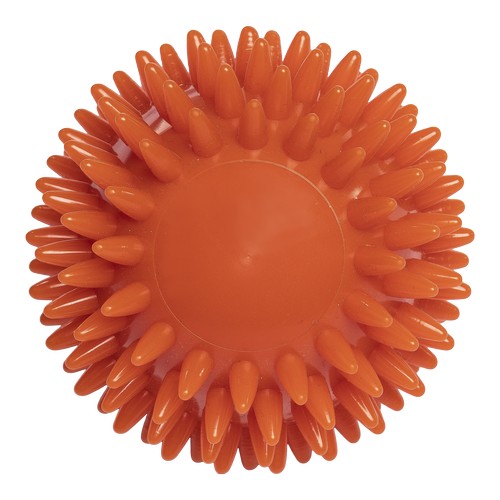 massaggiatore massaggiatore