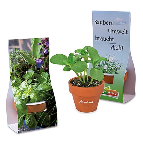 Mini pot terre cuite sous pochette - Mélange d'herbes aromatiques