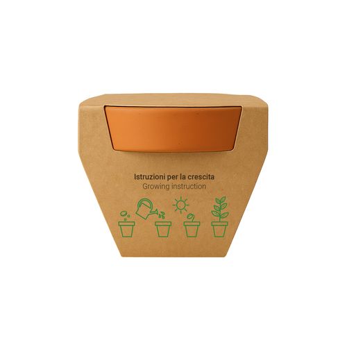 Maceta de terracota natural con turba y cápsula biodegradable con semillas