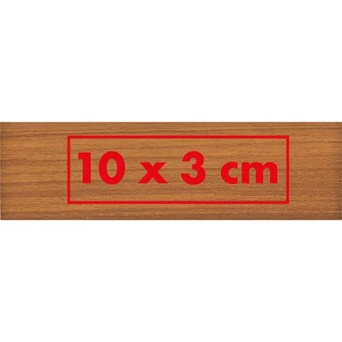 Metal laser pointer Detroit