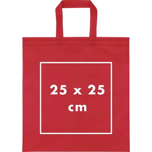 Non woven bag Nivala