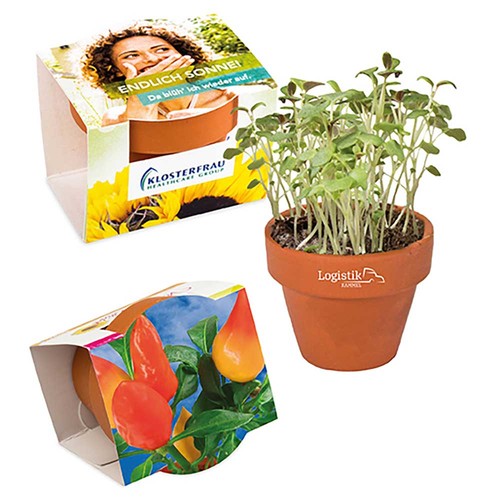 Mini logo-pot complete paper band with seeds - Chilli