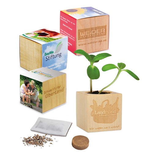 Houten plantenset met zaden - Zomerbloemen mix Houten plantenset met zaden - Zomerbloemen mix