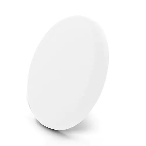 Frisbee | Eoan Frisbee | Eoan