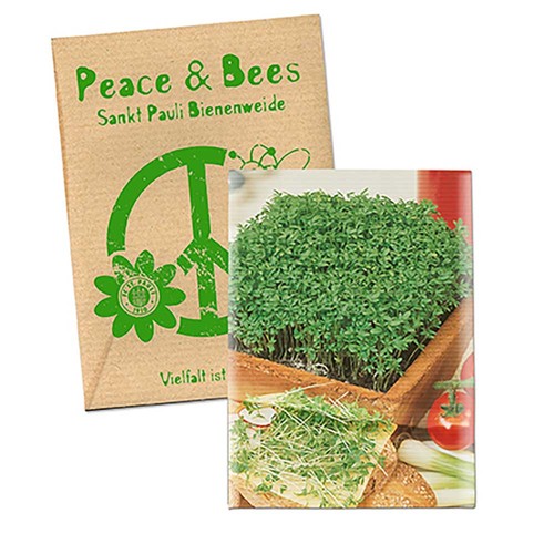 erbe aromatiche