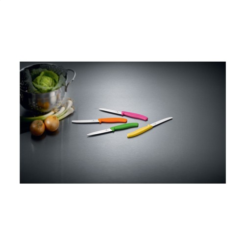Victorinox Swiss Classic table knife Victorinox Swiss Classic table knife