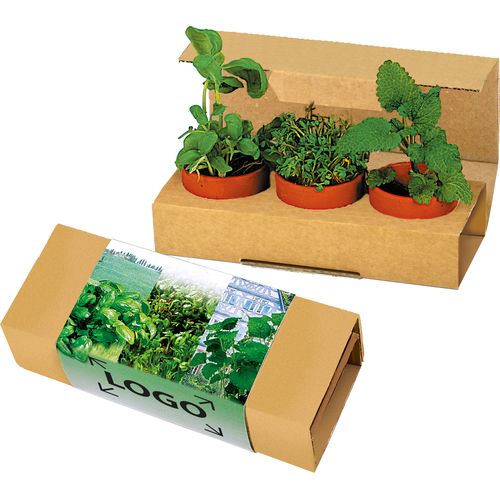 aromatische kruiden aromatische kruiden