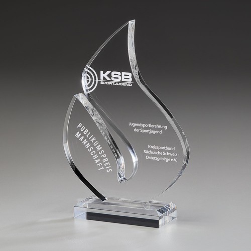Brilliance Award Brilliance Award