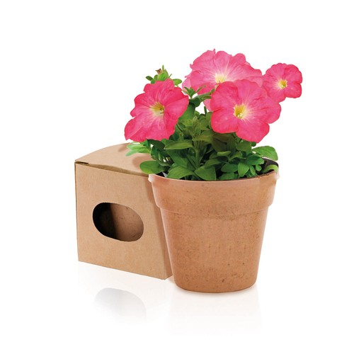 Pot de Fleurs Advert
