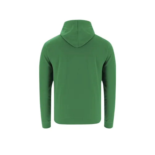 bluza