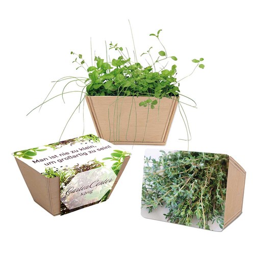 erbe aromatiche