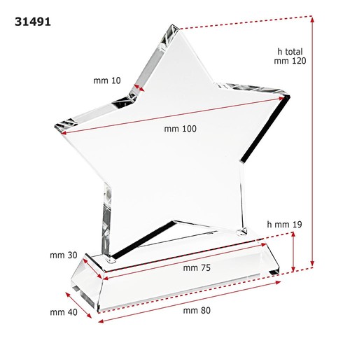 TROPHY STAR WHITE GLASS TROPHY STAR WHITE GLASS