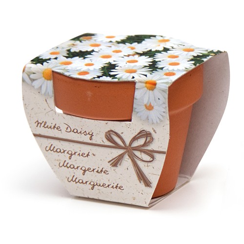 Kit de culture – Pot en terre cuite 5 cm (personnalisé)