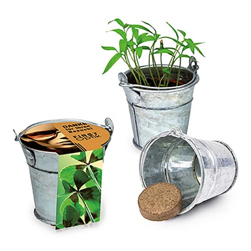 Mini plant-bucket with seeds - Four-leaf clover