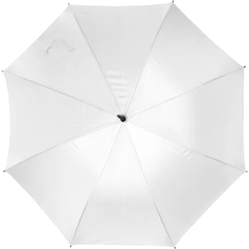 Automatic umbrella | Dwight