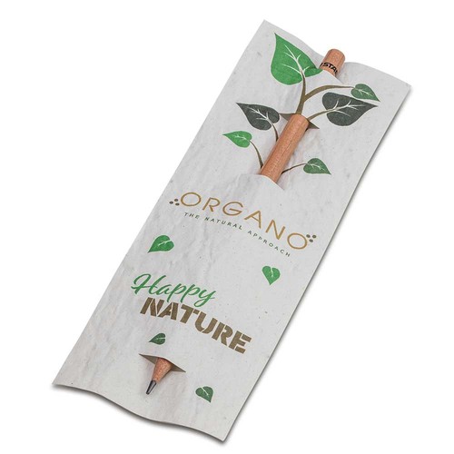 Crayon dans une carte en papier de semence - carotte 4/4-c