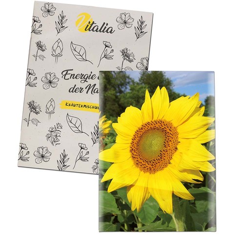 Zaadzakjes mini gerecycled papier - Zonnebloemen