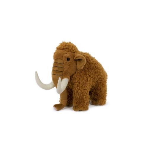 peluche