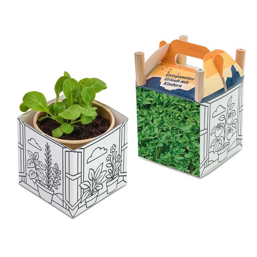 Colorer et cultiver la maison - Cresson de jardin
