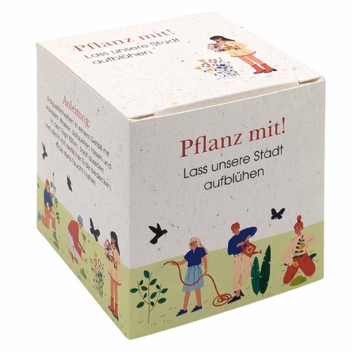 Cube-plantset (groot) - Klaproos