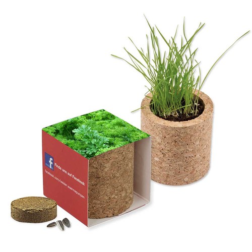 Plant-cork round with seeds - Parsley Plant-cork round with seeds - Parsley