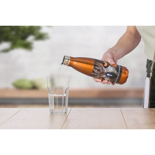 Stainless steel bottle (650 ml) Sumatra Stainless steel bottle (650 ml) Sumatra