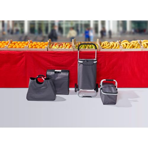 Polyester (320-330 gr/m²) cooler, shopping trolley Susanita