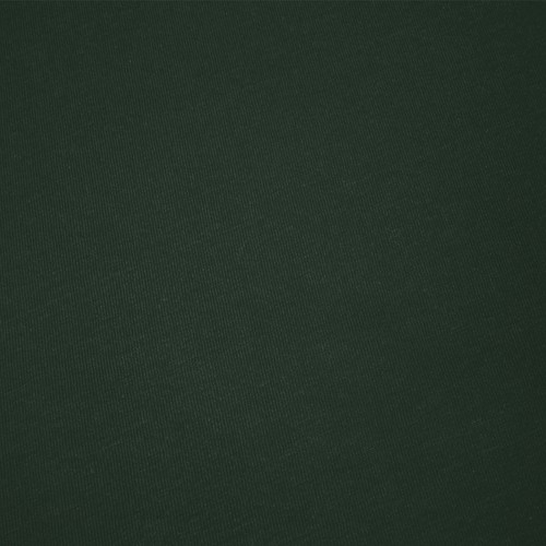 Adult Colour T-Shirt Epika
