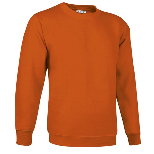 bluza