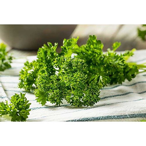 Zaadzakjes standaard papier - Soda kraftpapier - Peterselie Zaadzakjes standaard papier - Soda kraftpapier - Peterselie