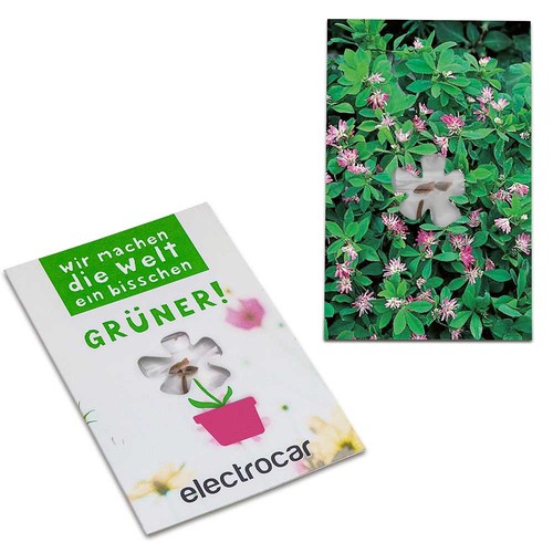 Carte avec graines-mini fleur - Trèfle persan