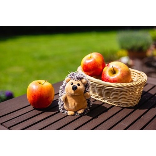 Plush hedgehog | Spiky Plush hedgehog | Spiky