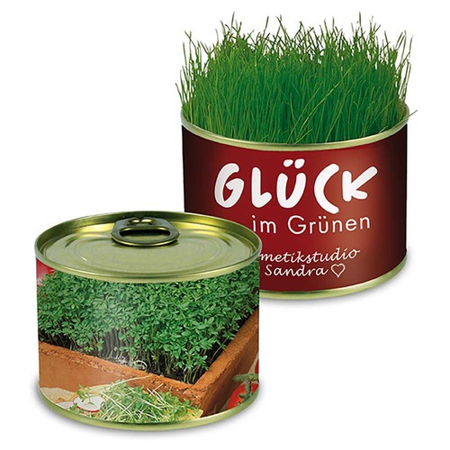 Boite de conserve Nature avec graines - Cresson de jardin