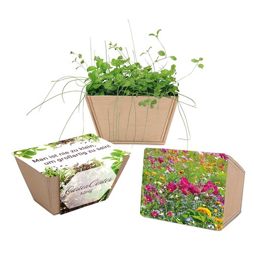 Mini-jardinière bois avec graines - Mélange de fleurs d'été Mini-jardinière bois avec graines - Mélange de fleurs d'été
