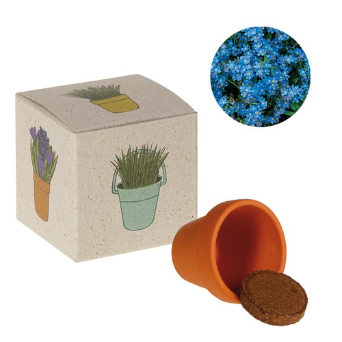 Cube de graines promotionnel (papier d'herbe) - Myosotis Cube de graines promotionnel (papier d'herbe) - Myosotis