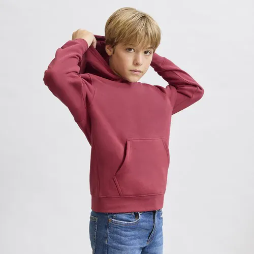 bluza