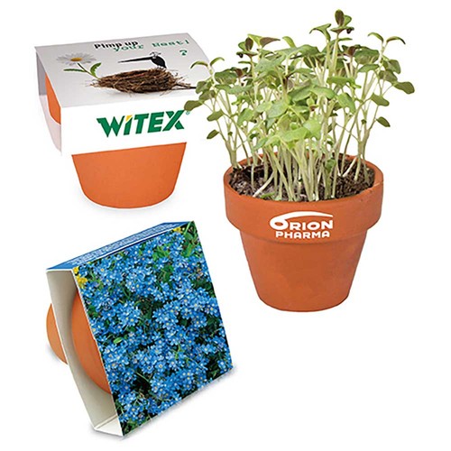 Mini pot terre cuite avec graines - Myosotis