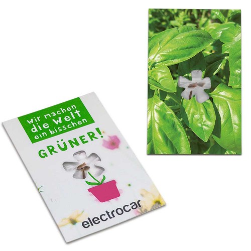 Vierkante kaart met zaadjes-minibloem - Basilicum