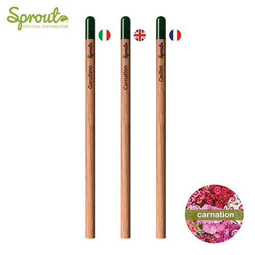 Spout pencil with seeds Gantz