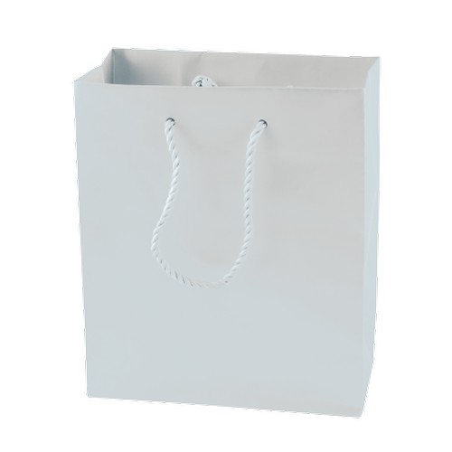 bolsa de compras bolsa de compras