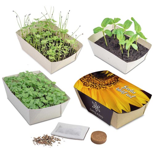 Jardinière en papier bambou avec graines - Souci