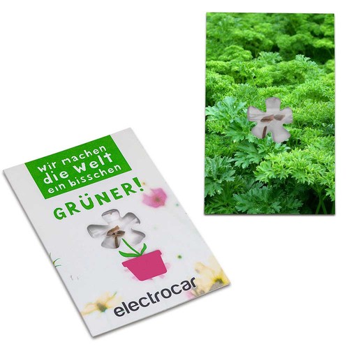 Seed-card-mini flower - Parsley Seed-card-mini flower - Parsley