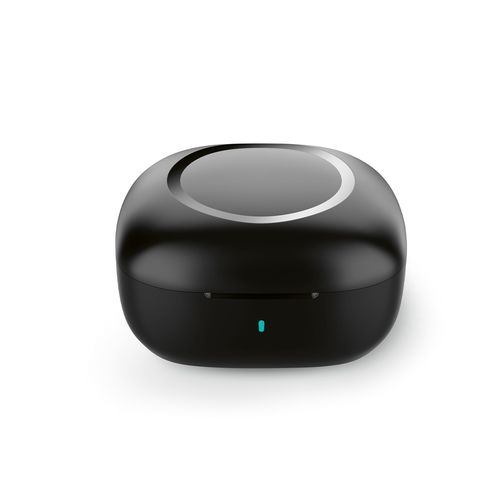 Chadwik Earbuds Chadwik Earbuds