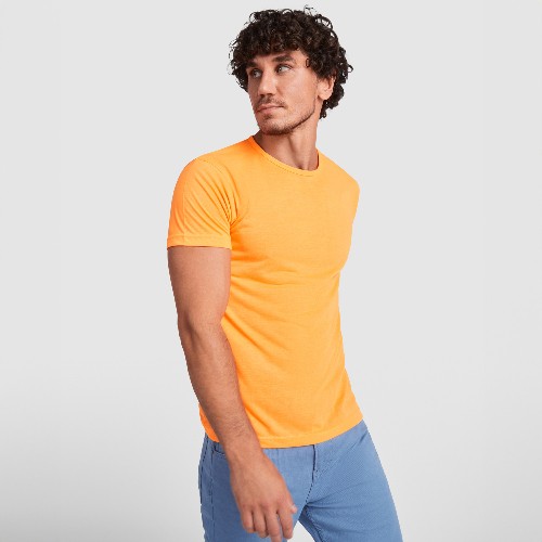 Camiseta manga corta AKITA
