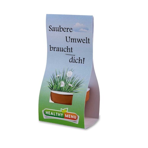 Mini pot terre cuite sous pochette - Trèfle persan Mini pot terre cuite sous pochette - Trèfle persan