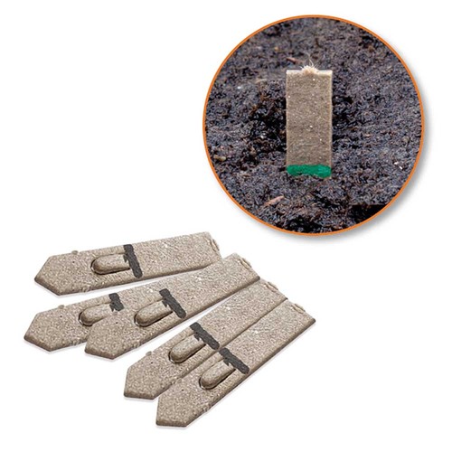 Bâtonnets de graines - abeille - Basilic Bâtonnets de graines - abeille - Basilic