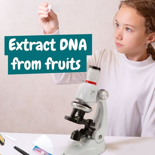 MICROSCOPE. Jeu éducatif pour les enfants MICROSCOPE. Jeu éducatif pour les enfants